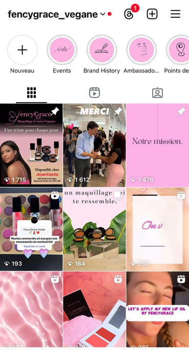 Page de profil Instagram.